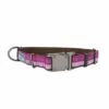 Coastal Pet K9 Explorer Reflective Adjustable Dog Collar