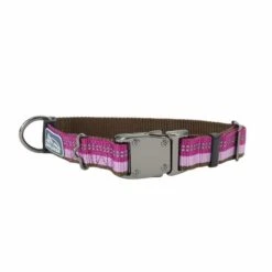 Coastal Pet K9 Explorer Reflective Adjustable Dog Collar