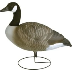 Flambeau Field Pack Canada Goose Decoy 6PK 6 Flambeau Field Pack Canada Goose Decoy 6PK -Hunters Store 1201539 1 08784.1643668126 ca9df289 f8b5 4e5e a884 d6f0b5125f88
