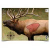 XXB Birchwood Casey Pregame Elk Target 16.5" X 24" 3 Pack -Hunters Store 246547 70279