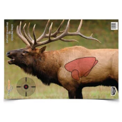 XXB Birchwood Casey Pregame Elk Target 16.5" X 24" 3 Pack