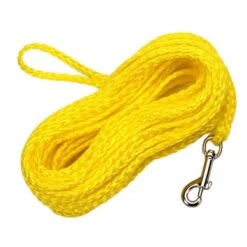 Coastal Water & Woods Hollow Poly Braided Dog Check Cord