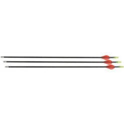 Allen Company 28Fiberglass Youth Arrow