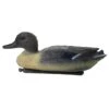 IVELECT Water Floating Lifelike Mallard Duck Decoy Drake Outdoor Fishing Hunting Decoy Accessories 2 IVELECT Water Floating Lifelike Mallard Duck Decoy Drake Outdoor Fishing Hunting Decoy Accessories -Hunters Store 517OC91DyfL. SL1024