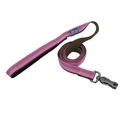 Coastal Pet K9 Explorer Reflective Leash With Scissor Snap Rosebud 3 Coastal Pet K9 Explorer Reflective Leash With Scissor Snap Rosebud
