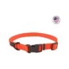 Water & Woods Adjustable Dog Collar Safety Orange Small: 10-14-In Neck 3/4-In Wide -Hunters Store 663459547 1