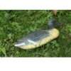 Segolike Plastic Wigeon Duck Decoy Floating Drake Duck Decoy -Hunters Store 716ABmO5yxL. SL1024
