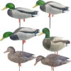 Avery Outdoors FFD Elite FB Mallards-Harvester Pack (6-pack) -Hunters Store Avery FFD Elite FB Mallards Harvester Pack 1 2 Dozen 700905723171 image1 32773.1628509792